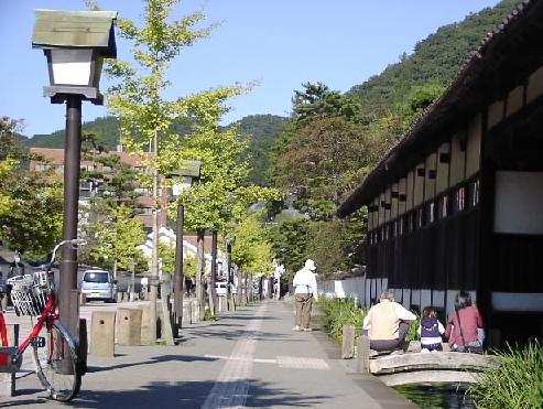 津和野　鯉　３